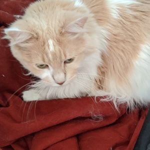 Meet your Posher, Holly